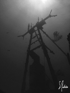 My second favorite wreck off Nassau - The Sea Viking. Thi... by Steven Anderson 